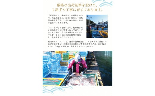 岩谷水産 紀州梅まだい しゃぶしゃぶセット / 鯛 真鯛 鯛しゃぶ 梅真鯛 魚貝 海鮮【iws204】