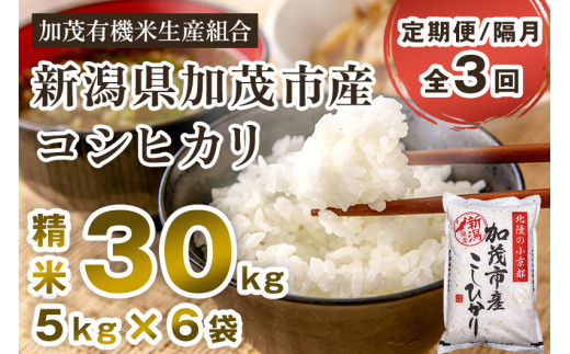 【令和6年産新米先行予約】【定期便3回隔月お届け】新潟県加茂市産コシヒカリ 精米30kg（5kg×6） 白米 加茂有機米生産組合