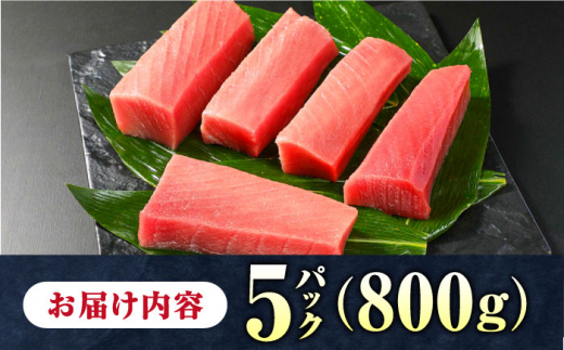 【お歳暮対象】対馬産 養殖 本マグロ 中トロ 800ｇ(5パック)《対馬市》【対海】 マグロ 鮪 まぐろ 本鮪 中とろ [WAH019]