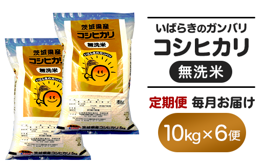 160 無洗米 コシヒカリ 10kg 定期便 令和6年 茨城県産【6ヵ月連続お届け】