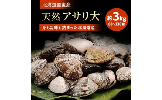 北海道道東産アサリ 大 約3kg(80～130粒)【1230571】