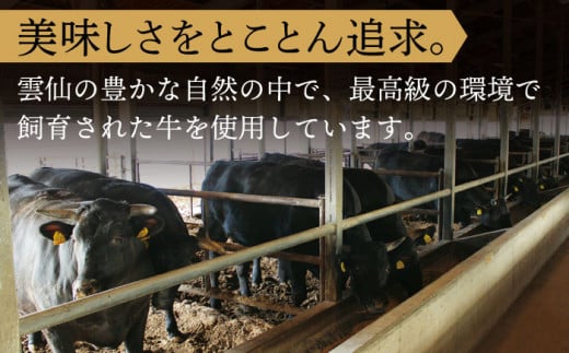 【年内配送】【受賞歴多数！】長崎和牛 肩ロース しゃぶしゃぶ・すき焼き用 約800g【株式会社 OGAWA】[QBI001] 牛肉 しゃぶしゃぶ ロース 霜降り 薄切り 3万5千円 35000円