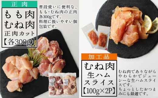 宮崎ブランド みやざき地頭鶏加工品・正肉セット(乙)  [美郷町みやざき地頭鶏加工組合 宮崎県 美郷町 020-003] 肉 鶏肉 地鶏 鶏