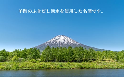 名水酒【京極】純米酒・本造り 1升×2本セット