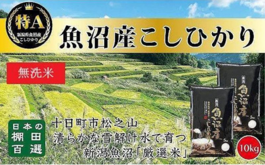 【令和6年産新米予約】日本棚田百選のお米 無洗米 天空の里 魚沼産 こしひかり 10kg(5kg×2)