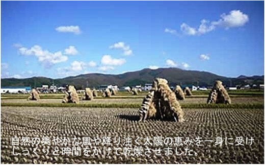 北海道上ノ国町産 令和6年産新米！自然乾燥米「ななつぼし」　5㎏