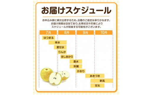 【先行予約】 梨 旬の梨 約 4.5~5kg  藤末果樹園 熊本県荒尾市産 《7月中旬-10月中旬頃出荷》フルーツ 果物 荒尾梨 はつまる 幸水 愛甘水 りんか ほしあかり 豊水 秋麗 かおり あきづき 新高 甘太から旬の品種を厳選してお届け 品種はえらべません