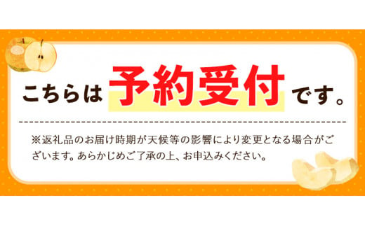 【先行予約】 梨 旬の梨 約 4.5~5kg  藤末果樹園 熊本県荒尾市産 《7月中旬-10月中旬頃出荷》フルーツ 果物 荒尾梨 はつまる 幸水 愛甘水 りんか ほしあかり 豊水 秋麗 かおり あきづき 新高 甘太から旬の品種を厳選してお届け 品種はえらべません