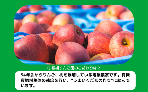 旬のりんご 【 定期便 】 訳あり 9kg 〜 10kg × 4回 松橋りんご園 沖縄県への配送不可 2024年9月上旬頃から2024年12月下旬頃まで順次発送予定 令和6年度収穫分 フルーツ リンゴ 信州 長野県 飯綱町 [0832]