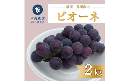 【 先行予約 】 ピオーネ 2kg 《 2024年 8月 下旬 ～ 順次発送 》フルーツ ぶどう 葡萄 期間限定 旬 産地直送 農家直送 産直 贈答 家庭用 ギフト 中内農園 ぶどう 直売所 徳島県 阿波市 