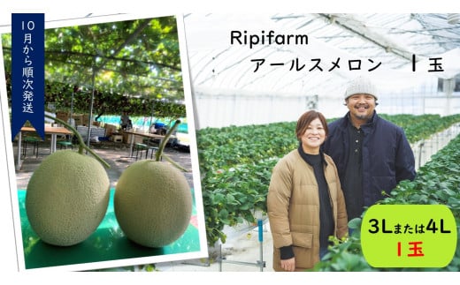 Ripifarm　アールスメロン　１玉(3Lまたは4L)