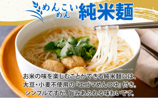 盛岡 めんこいめん 2種 計6食 Eセット 純米麺 盛岡純米冷麺 グルテンフリー 米粉麺 麺 米粉 冷麺 盛岡冷麺 人気 グルメ お取り寄せ ギフト プレゼント お土産 めんこい 農事組合法人となん 送料無料 岩手県 盛岡市