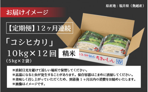 【12ヶ月連続定期便】令和6年産 福井県産奥越コシヒカリ5kg ×2袋（10kg × 12ヶ月） [P-015002]