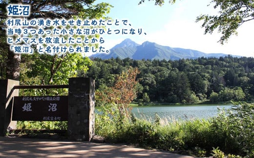 利尻島周遊♪貸切観光タクシー8時間フリー利用券（ジャンボタクシー9名様まで）