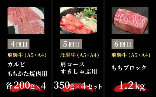 【2月発送開始】飛騨牛 定期便 全6回 約8.44kg 8人前 すき焼き しゃぶしゃぶ ステーキ 焼肉 BBQ ロース カタロース ロースステーキ モモ カタ ブロック肉 モモブロック 贅沢 贈り物 6ヶ月 定期 おすすめ 選べる 人気 飛騨 ブランド牛 肉のひぐち