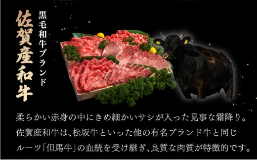 佐賀産和牛シャトーブリアン 1kg (約250g×4枚) ／ 佐賀 大町町 肉 お肉 牛肉 フィレ ヒレ ステーキ 贈答 ブランド牛 A5 国産 霜降り ギフト グルメ 国産牛 特産品 お祝い 贈り物 ステーキ肉 冷凍1kg