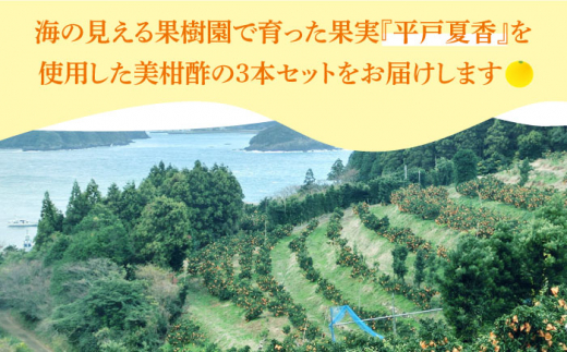 【着日指定 可能】【自家栽培の柑橘のみを使用】シトラスビネガー 美柑酢（みかんす）3本 セット【善果園】 [KAA361]