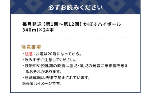 【12ヶ月定期便】かぼすハイボール 340ml×24本 毎月1回 計12回 チューハイ カボスサワー ハイボール 大分県産 九州産 津久見市