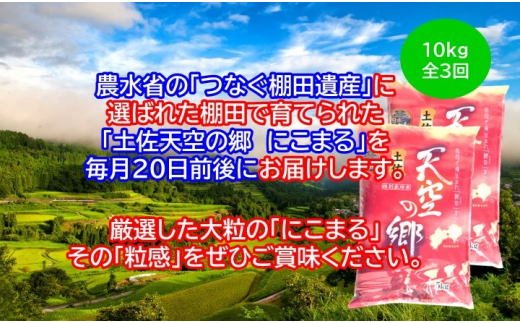 2010年・2016年 お米日本一コンテスト inしずおか 特別最高金賞受賞 土佐天空の郷　にこまる　10kg定期便　毎月お届け全3回