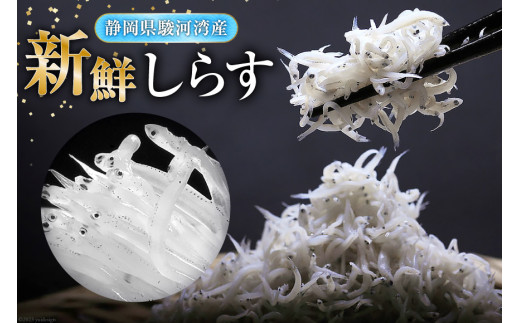 6回 定期便 静岡県駿河湾産 しらす干し 120g×3 釜上げしらす 150g×3 計6パック [マルあ水産 静岡県 吉田町 22424311] しらす シラス 小分け 天日 じゃこ おじゃこ