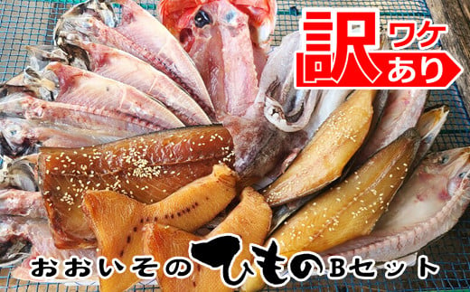 おおいその干物Bセット／ 季節によって多少内容が変わる訳あり品 【 ひもの 魚 天日干し 神奈川県 大磯 湘南 特産品 】