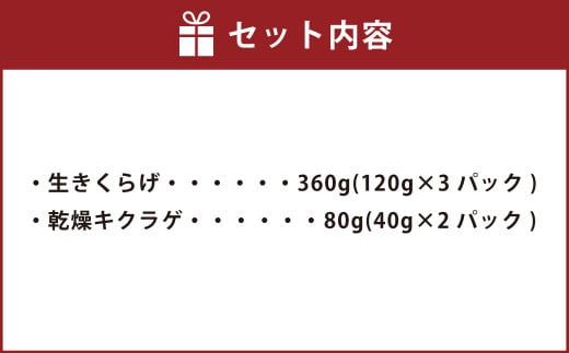 【数量限定・無農薬】薩摩川内市産のきくらげセット（生きくらげ・乾燥きくらげ）