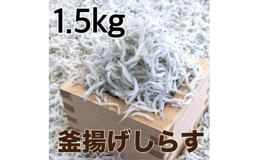 釜揚げしらす1.5kg【DN3】