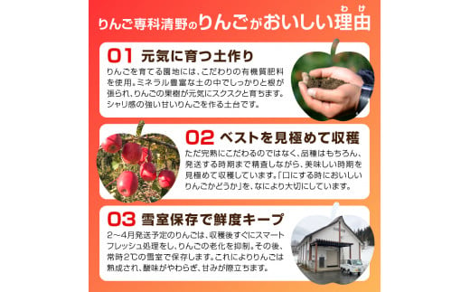 《先行予約》訳ありこうとく約4.5kg【2024年11月上旬頃～発送予定】【大江町産・山形りんご・りんご専科 清野】 【015-063】