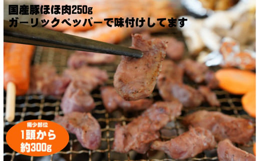 【数量限定】 焼肉やBBQにオススメ！  富樫精肉店 特製 国産 ホルモン&豚肉 計5種+焼肉たれ 食べ比べセット（全て味付け済み） 1082002