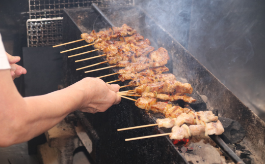 吉田屋 室蘭やきとり30本とやきとりのタレ150g 【 ふるさと納税 人気 おすすめ ランキング 北海道 室蘭 やきとん 30本 やきとり 焼き鳥 豚肉 皮 串 串焼きタレ たれ焼き おつまみ 酒 セット 詰合せ  北海道 室蘭市 送料無料 】 MROAB004