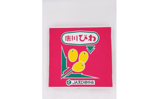 びわ 唐川びわ 先行予約 6個入り×6パック【2024年5月下旬発送】|B124