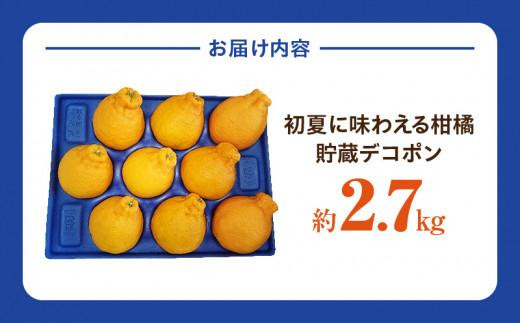 初夏に味わえる柑橘 貯蔵デコポン 約2.7kg【2025年5月中旬～2025年6月下旬配送】