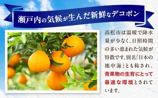 初夏に味わえる柑橘 貯蔵デコポン 約2.7kg【2025年5月中旬～2025年6月下旬配送】