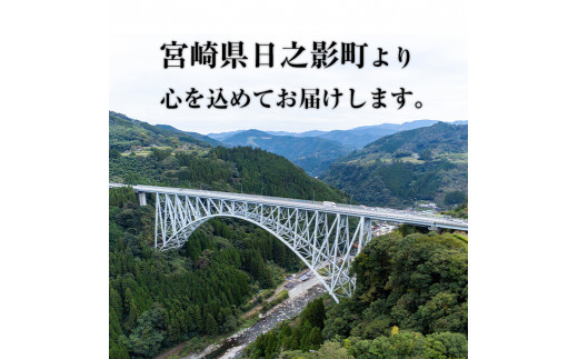 宮崎県認証ブランド 釜王 釜炒り茶 極(計300g・100g×3袋)緑茶 お茶 厳選茶葉 ブランド茶 【NK003】【宮崎県農業協同組合　高千穂地区本部】