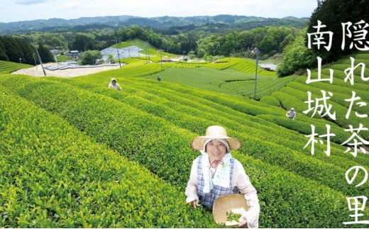 【宇治抹茶スイーツ】抹茶の味がしっかりと味わえる むらちゃアイス抹茶6個セット 濃厚 抹茶 アイス デザート スイーツ おいしい 濃い 抹茶アイス 宇治抹茶 道の駅 お茶の京都 みなみやましろ村 京都 南山城村 [№5299-0087]