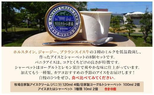 カワヨグリーン牧場自家製アイス、シャーベット8個セット ふるさと納税 人気 おすすめ ランキング 8個 セット アイスクリーム アイス シャーベット バニラ バニラアイス 人気 詰合せ 詰め合わせ アソート 牧場 ミルク ホルスタイン ジャージー ブラウンスイス牛 おいらせ 青森 青森県 おいらせ町 送料無料 OIR102