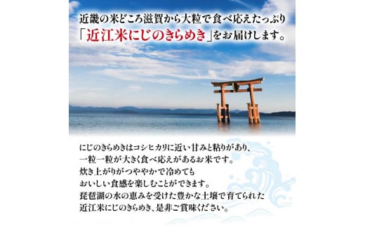 令和6年産 新米 白米 10㎏ にじのきらめき 5kg × 2袋 精米 近江米 ニジノキラメキ 国産 お米 米 おこめ ごはん ご飯 白飯 しろめし こめ ゴハン 御飯 滋賀県産 竜王 ふるさと ランキング 人気 おすすめ