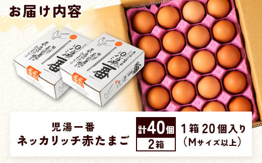 ＜児湯養鶏自慢の卵 ＞ネッカリッチ赤たまご「児湯一番」計40個（20個入×2箱）【B19】