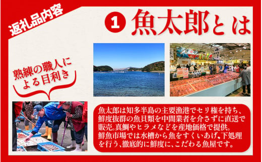 干物セット 6種 1.7kg 冷凍 セット 詰め合わせ 鯛 タイ たい 鯖 サバ さば ふぐ フグ ちりめん わかめ 佃煮 干物 ひもの ひものセット 冷凍干物 冷凍ひもの ふるさと納税干物 ふるさと納税ひもの ふるさと納税ふぐ ふるさと納税フグ 冷凍ふぐ 冷凍フグ 冷凍サバ 冷凍鯖 冷凍さば 冷凍ちりめん ふるさと納税ちりめん 冷凍わかめ ふるさと納税わかめ 愛知県 南知多町 