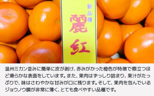 【先行予約・数量限定】野の花ファーム 訳あり 麗紅 3kg みかん ミカン オレンジ 蜜柑 フルーツ 旬 果物 くだもの 大分県産 九州産 津久見市 国産