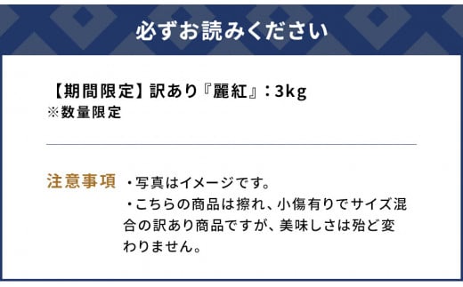 【先行予約・数量限定】野の花ファーム 訳あり 麗紅 3kg みかん ミカン オレンジ 蜜柑 フルーツ 旬 果物 くだもの 大分県産 九州産 津久見市 国産