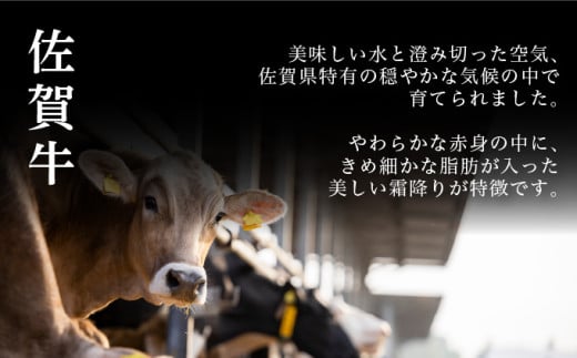 佐賀牛ハンバーグ 900g (150g×6個) ／ ふるさと納税 佐賀牛 肉 牛肉 黒毛和牛 国産 バーベキュー 焼肉 やきにく にく 赤身 佐賀 佐賀県 ポーク 豚 豚肉 国産牛 佐賀県産 鶏 鶏肉 ブランド牛 ギフト 贈答 送料無料 お肉