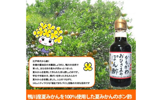 鴨川産夏みかんを使用した優しい味わいの「おひさまのポン酢」