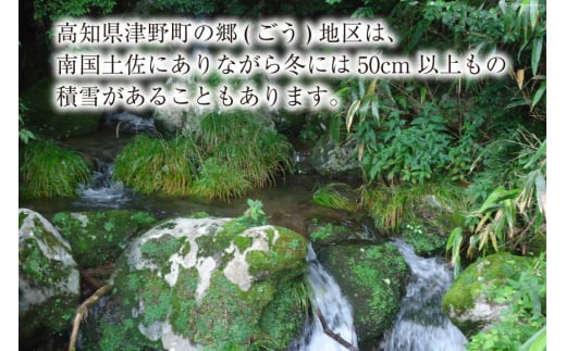 四万十源流 松ちゃんの炭 8kg [イブ・ハート 高知県 津野町 26ax0004] 木炭 焚き火 バーベキュー BBQ キャンプ アウトドア 広葉樹