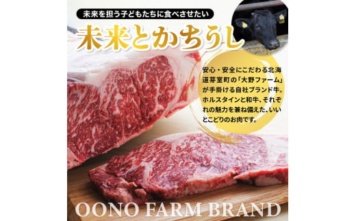 北海道十勝芽室町　未来とかち牛バラ焼肉　500g　me073-005c