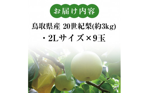 ＜8月下旬～9月下旬発送予定＞＜2Lサイズ×9玉＞鳥取県産 20世紀梨(約3kg)【sm-BP006】【フジキコーポレーション】