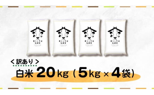 【定期便6回】 毎日食卓・米農家 応援米 20kg ( 5kg ×4袋)  × 6回 熊本県産 お米 白米 |  精米 白米 毎日食卓米 農家応援米 20キロ 定期便 お米 ブレンド米 家庭用 送料無料 熊本 コロナ支援 災害支援 フードロス くまもと 熊本県