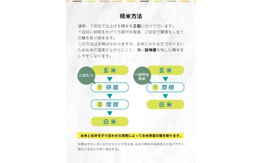 【定期便6回】 毎日食卓・米農家 応援米 20kg ( 5kg ×4袋)  × 6回 熊本県産 お米 白米 |  精米 白米 毎日食卓米 農家応援米 20キロ 定期便 お米 ブレンド米 家庭用 送料無料 熊本 コロナ支援 災害支援 フードロス くまもと 熊本県