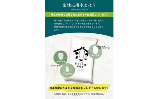 【定期便6回】 毎日食卓・米農家 応援米 20kg ( 5kg ×4袋)  × 6回 熊本県産 お米 白米 |  精米 白米 毎日食卓米 農家応援米 20キロ 定期便 お米 ブレンド米 家庭用 送料無料 熊本 コロナ支援 災害支援 フードロス くまもと 熊本県