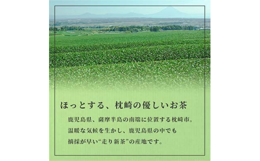 ＜のし付き・お中元＞「天然玉露あさつゆ」緑茶ティーバッグ　水出し・お湯両用タイプ　A8-86C【1511433】